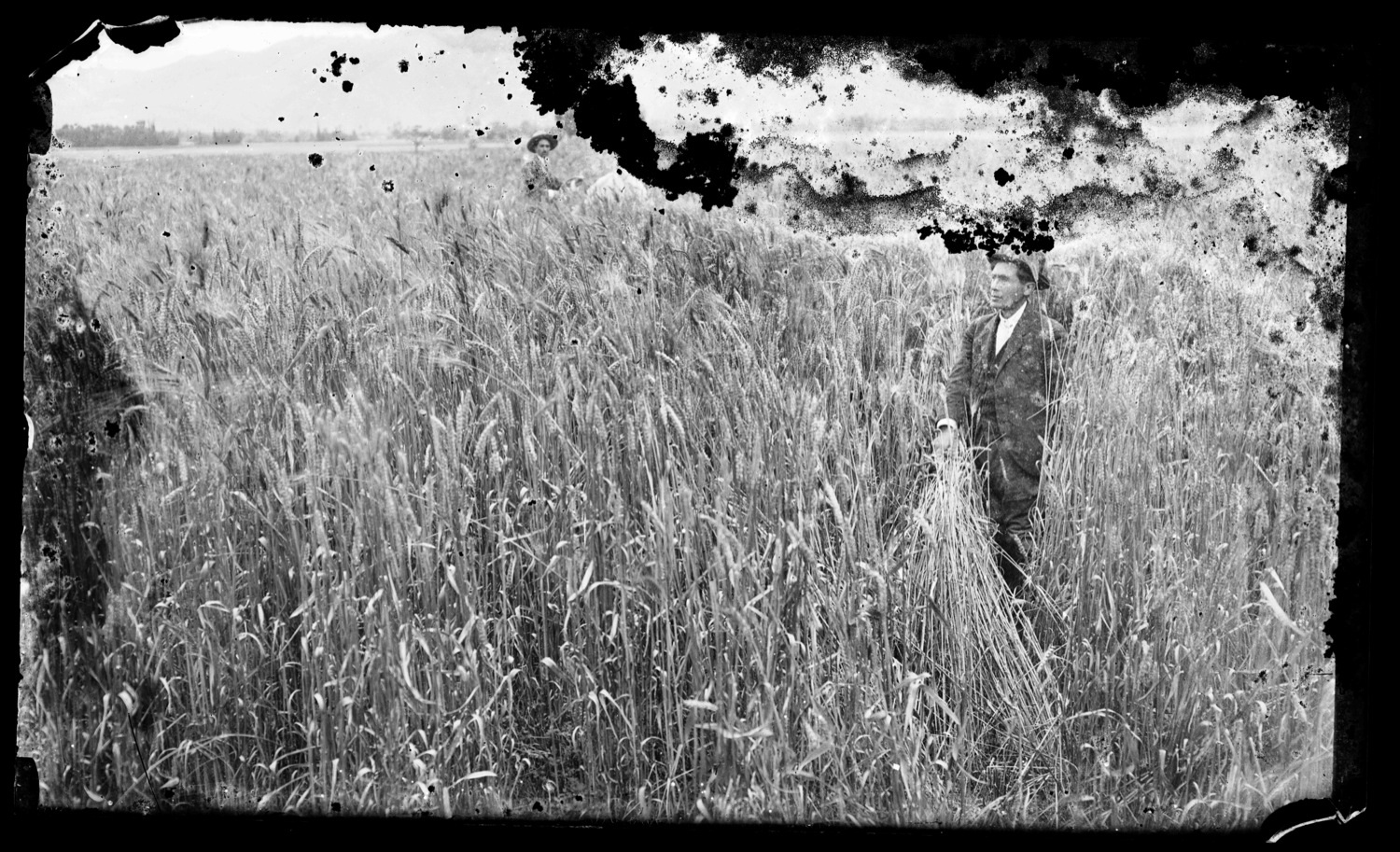 Fotografía de artista jaujino Teodoro Bullón de un hombre en el campo, cuyas manchas de hongos se mantienen en la imagen